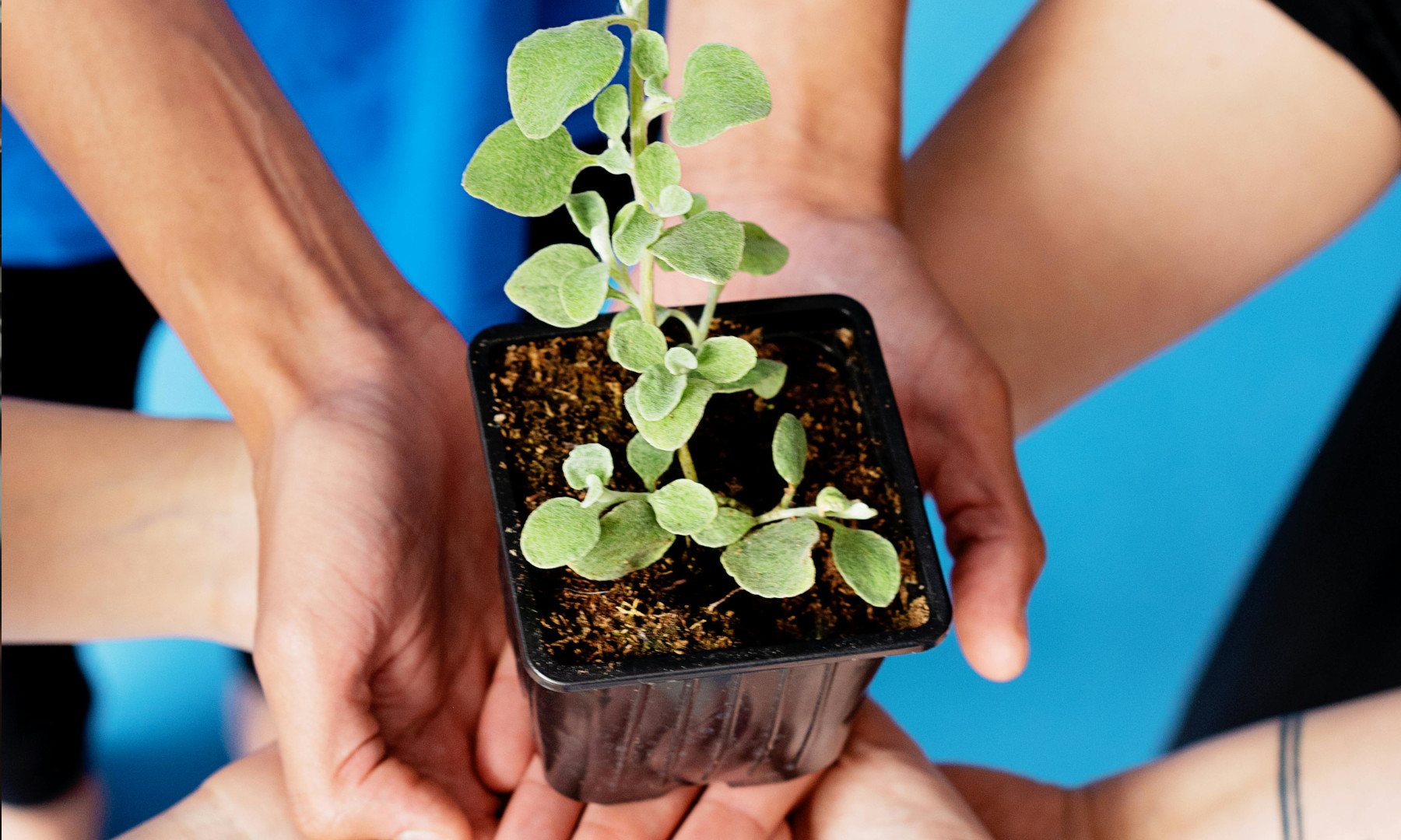 Vertrauen und Delegation – Der Schlüssel zur stressfreien Unternehmensführung