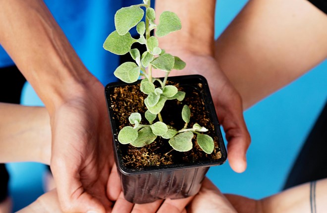 Vertrauen und Delegation – Der Schlüssel zur stressfreien Unternehmensführung